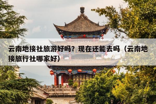 云南地接社旅游好吗？现在还能去吗（云南地接旅行社哪家好）