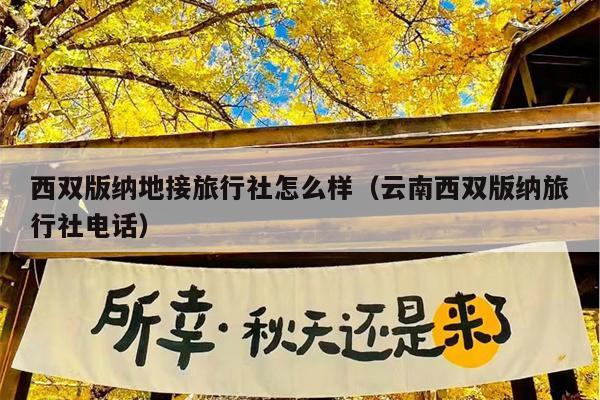 西双版纳地接旅行社怎么样（云南西双版纳旅行社电话）