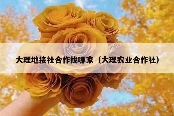 大理地接社合作找哪家（大理农业合作社）