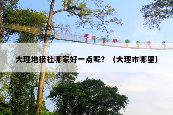 大理地接社哪家好一点呢？（大理市哪里）