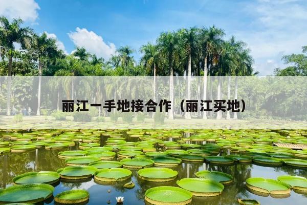 丽江一手地接合作（丽江买地）