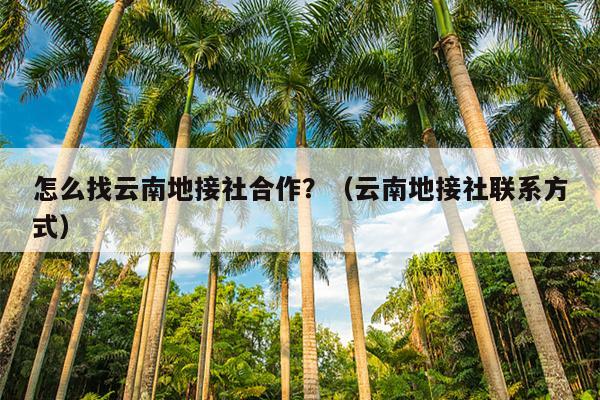 怎么找云南地接社合作？（云南地接社联系方式）