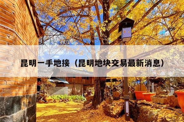 昆明一手地接（昆明地块交易最新消息）