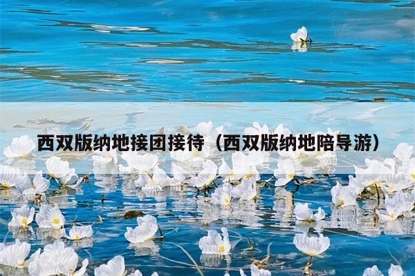 西双版纳地接团接待（西双版纳地陪导游）