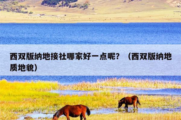 西双版纳地接社哪家好一点呢？（西双版纳地质地貌）