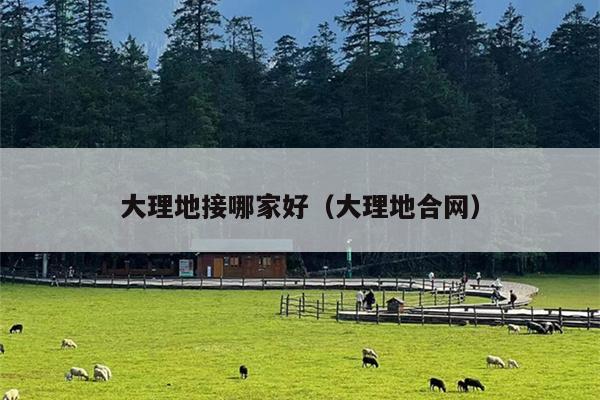 大理地接哪家好（大理地合网）