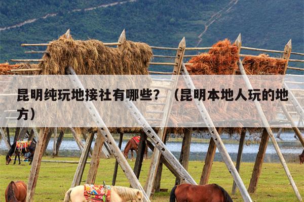 昆明纯玩地接社有哪些？（昆明本地人玩的地方）