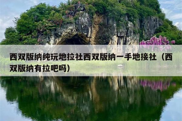 西双版纳纯玩地拉社西双版纳一手地接社（西双版纳有拉吧吗）