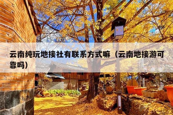 云南纯玩地接社有联系方式嘛（云南地接游可靠吗）
