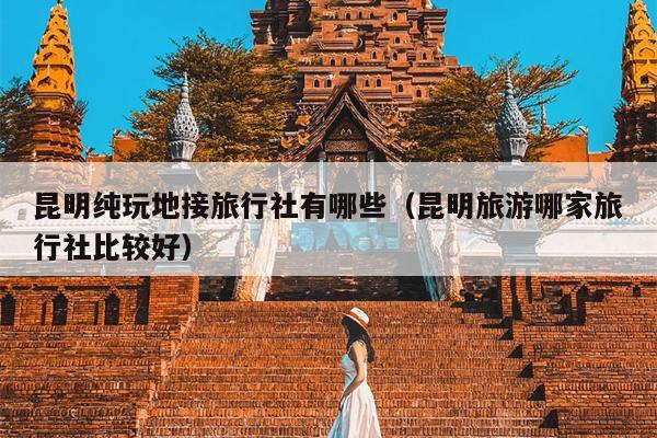 昆明纯玩地接旅行社有哪些（昆明旅游哪家旅行社比较好）