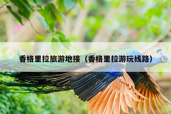 香格里拉旅游地接（香格里拉游玩线路）
