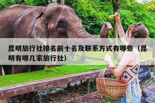 昆明旅行社排名前十名及联系方式有哪些（昆明有哪几家旅行社）