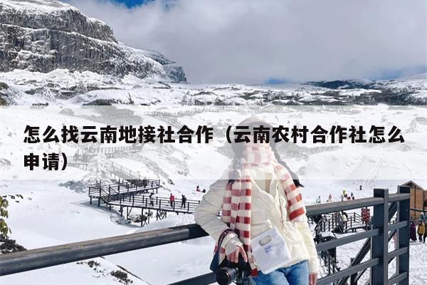 怎么找云南地接社合作（云南农村合作社怎么申请）