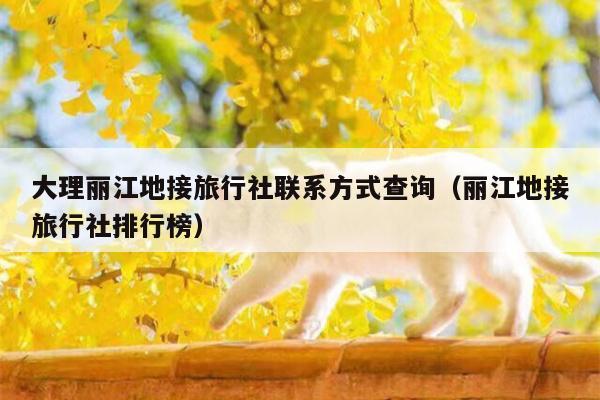 大理丽江地接旅行社联系方式查询（丽江地接旅行社排行榜）