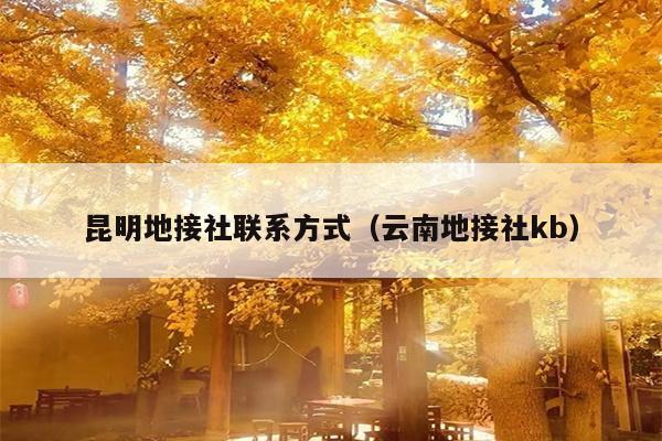 昆明地接社联系方式（云南地接社kb）