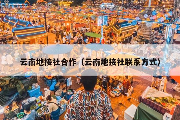云南地接社合作（云南地接社联系方式）