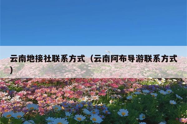 云南地接社联系方式（云南阿布导游联系方式）