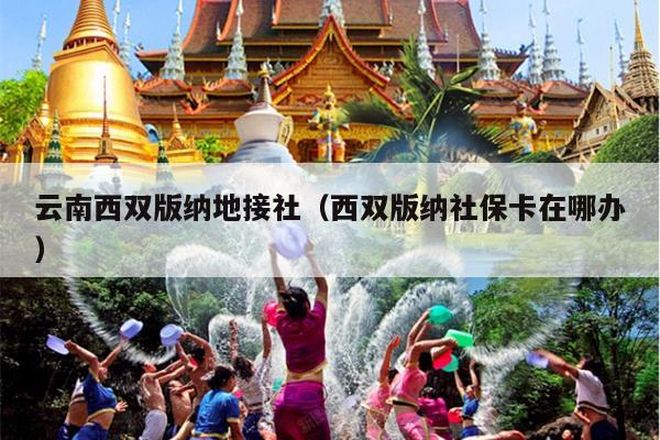 云南西双版纳地接社（西双版纳社保卡在哪办）