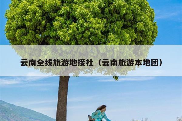 云南全线旅游地接社（云南旅游本地团）