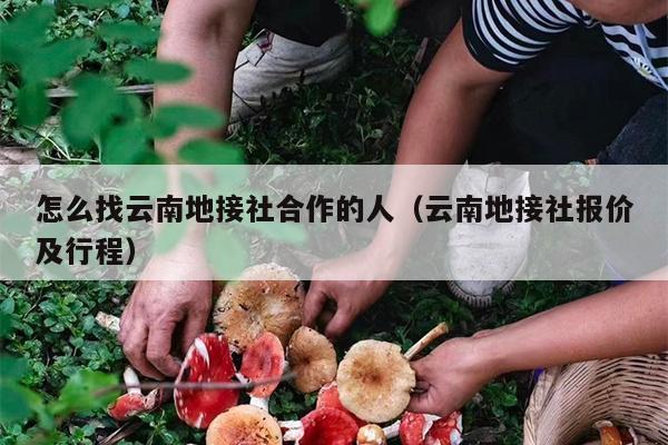怎么找云南地接社合作的人（云南地接社报价及行程）