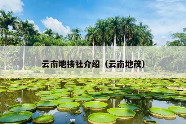 云南地接社介绍（云南地茂）