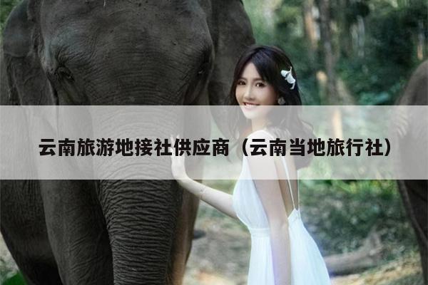 云南旅游地接社供应商（云南当地旅行社）