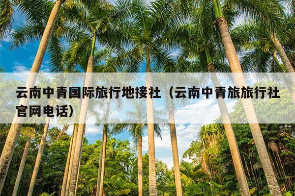 云南中青国际旅行地接社（云南中青旅旅行社官网电话）
