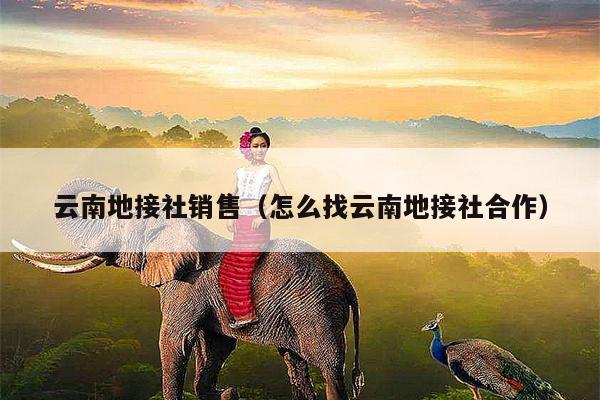 云南地接社销售（怎么找云南地接社合作）