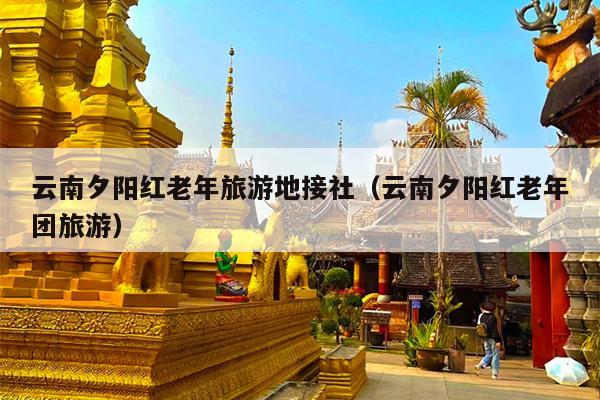 云南夕阳红老年旅游地接社（云南夕阳红老年团旅游）