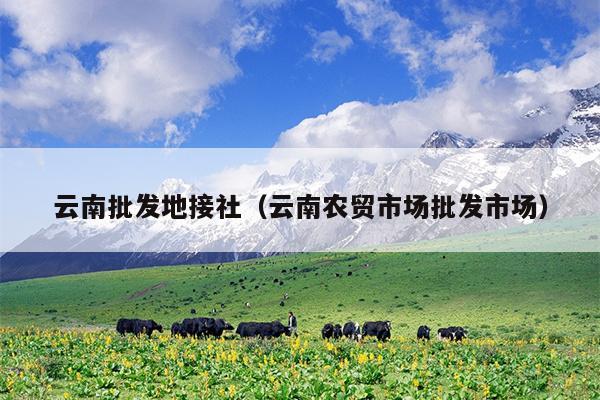 云南批发地接社（云南农贸市场批发市场）