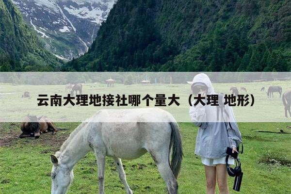 云南大理地接社哪个量大（大理 地形）