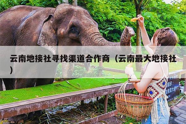 云南地接社寻找渠道合作商（云南最大地接社）
