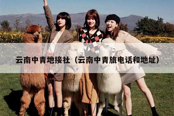 云南中青地接社（云南中青旅电话和地址）