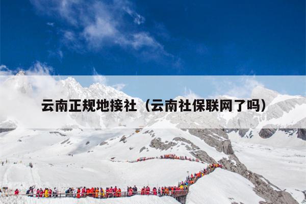 云南正规地接社（云南社保联网了吗）