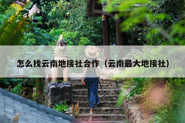 怎么找云南地接社合作（云南最大地接社）