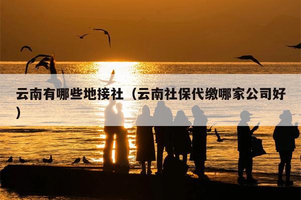 云南有哪些地接社（云南社保代缴哪家公司好）