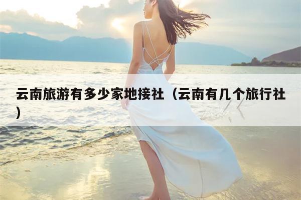 云南旅游有多少家地接社（云南有几个旅行社）