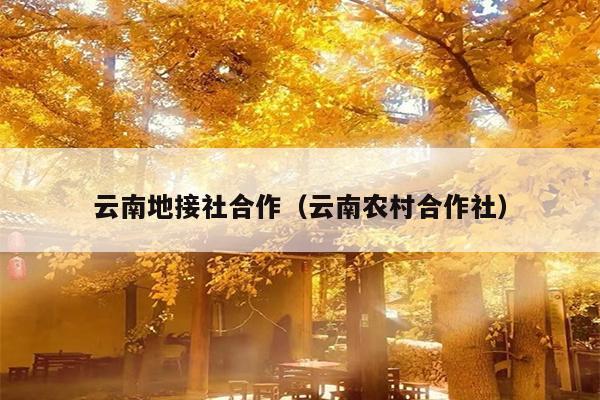 云南地接社合作（云南农村合作社）