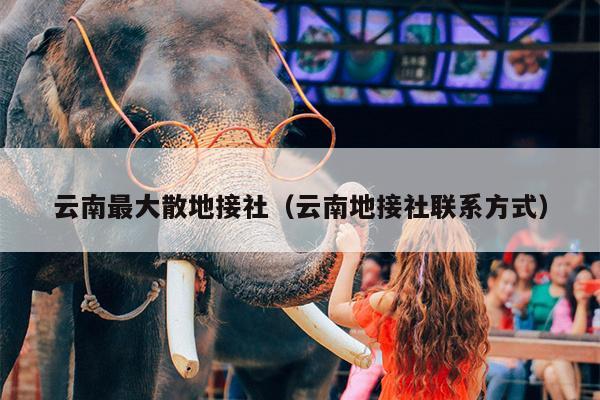 云南最大散地接社（云南地接社联系方式）
