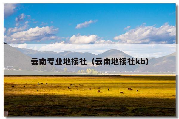 云南专业地接社（云南地接社kb）