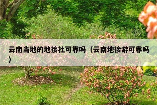 云南当地的地接社可靠吗（云南地接游可靠吗）