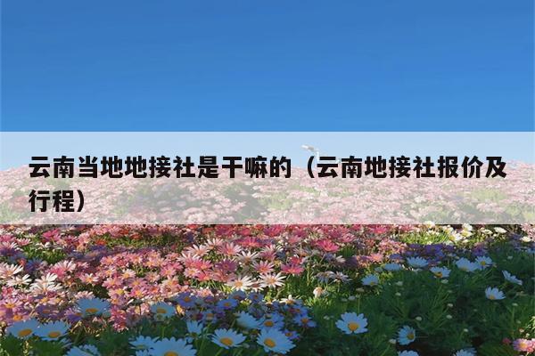 云南当地地接社是干嘛的（云南地接社报价及行程）
