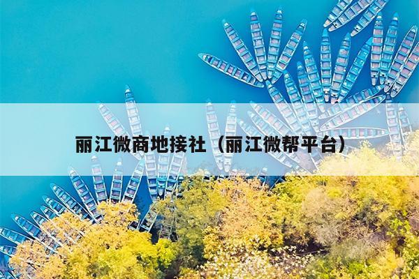 丽江微商地接社（丽江微帮平台）