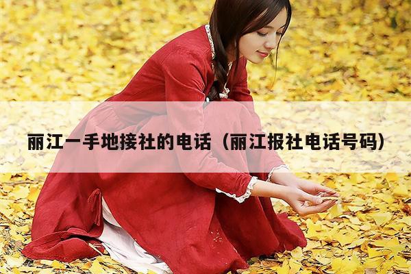 丽江一手地接社的电话（丽江报社电话号码）
