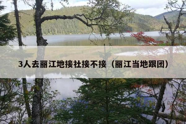 3人去丽江地接社接不接（丽江当地跟团）