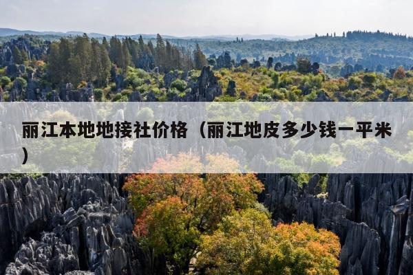 丽江本地地接社价格（丽江地皮多少钱一平米）