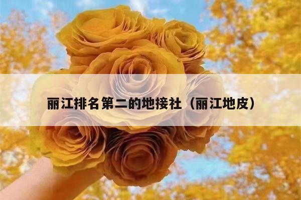 丽江排名第二的地接社（丽江地皮）