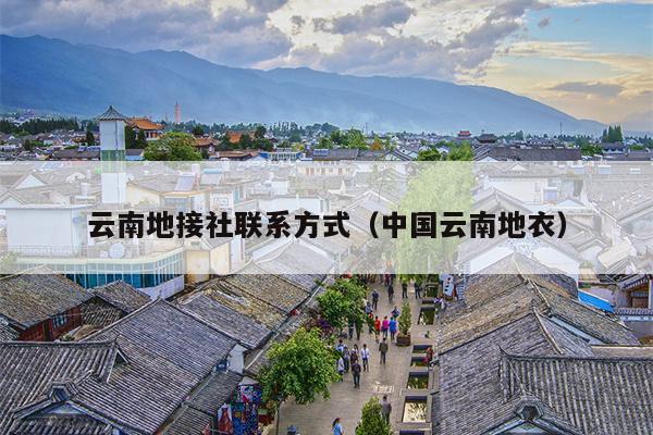 云南地接社联系方式（中国云南地衣）