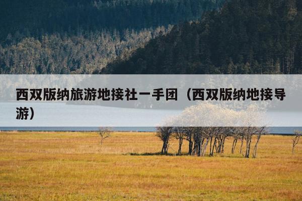 西双版纳旅游地接社一手团（西双版纳地接导游）