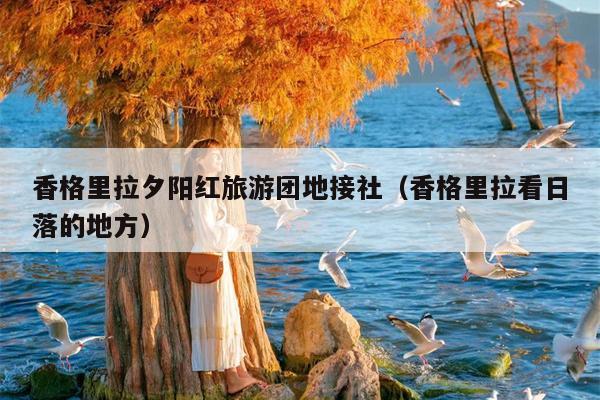 香格里拉夕阳红旅游团地接社（香格里拉看日落的地方）
